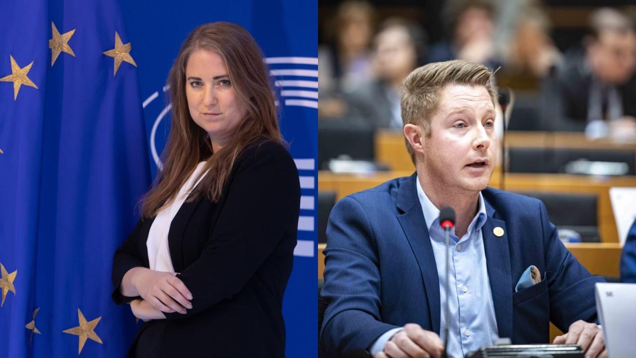 Wiesner (C) och Nissinen (SD)