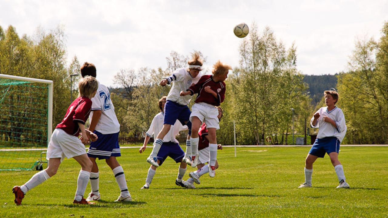 Ideella sportföreningar - en hotad verksamhet i Sverige?