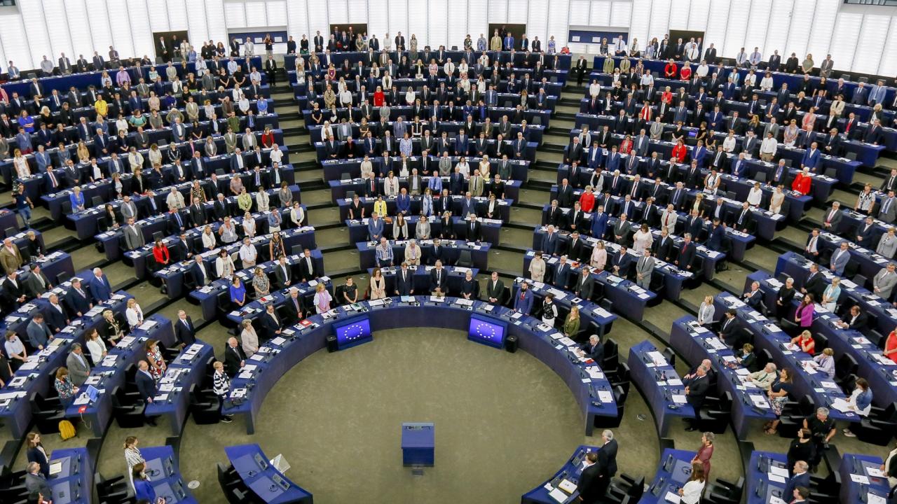 Migration, brexit och skogsanvändning är några frågor som EU-parlamentarikerna arbetar med i höst. Arkivbild.