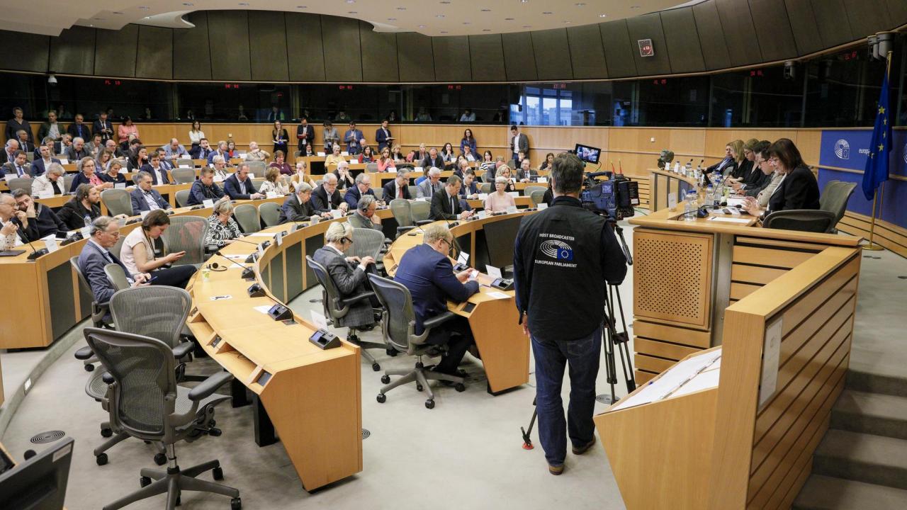 Mycket av arbetet i EU-parlamentet sker i utskotten, på bilden utrikesutskottet som är ett av de största. Arkivbild.