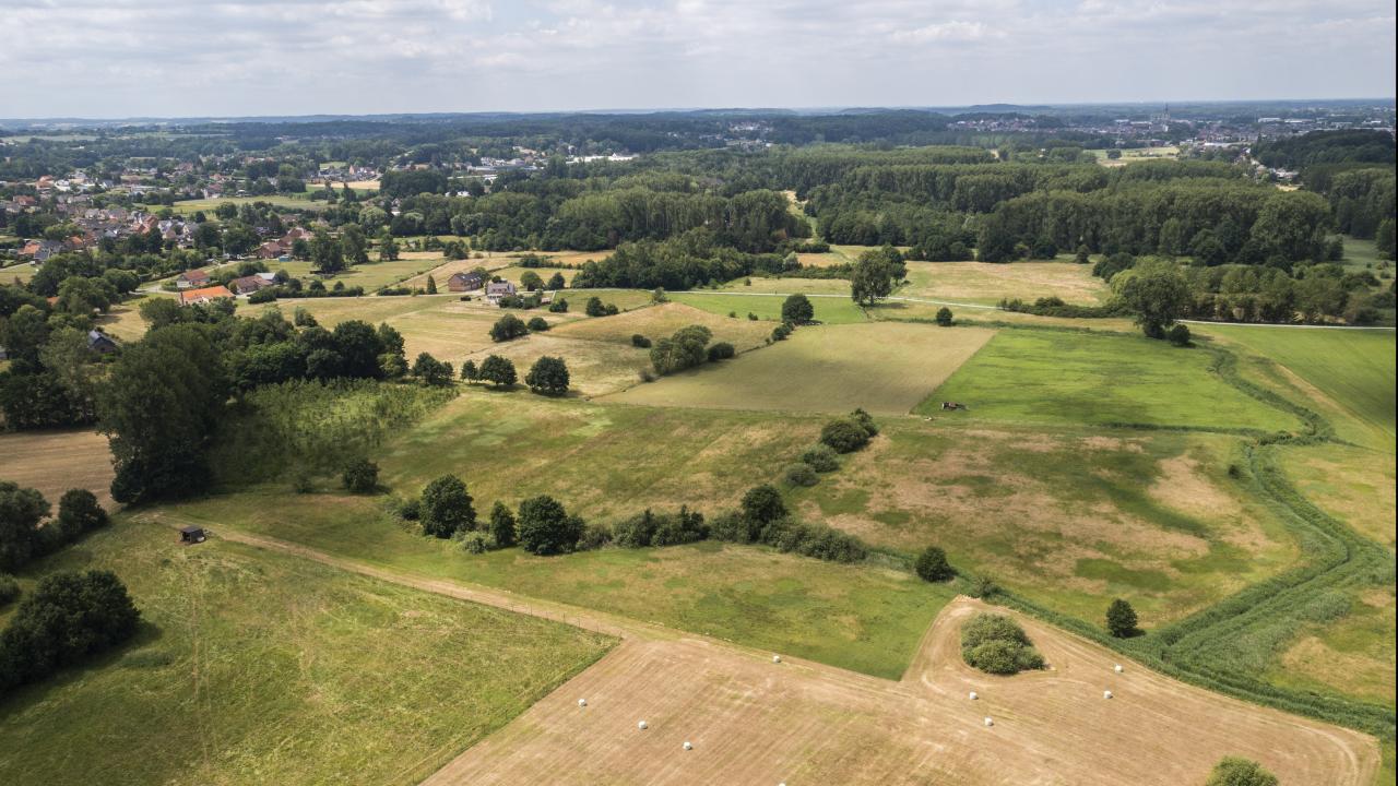 Enligt Europeiska miljöbyrån är i dag över 80 procent av habitaten i EU-länderna i ”dåligt skick”. Arkivbild.