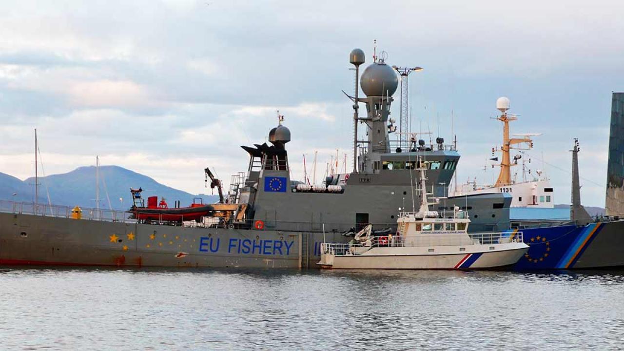 Syftet med torsdagens överenskommelse är att återskapa EU:s fiskebestånd till hållbara nivåer 2020. Arkivbild.