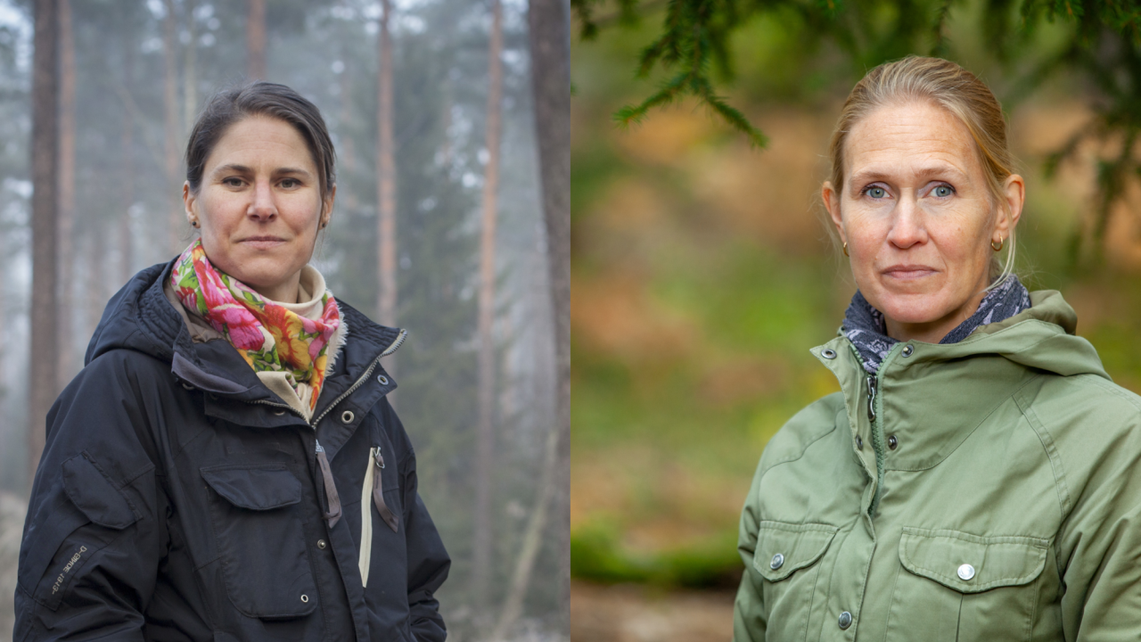  Johanna Sandahl och Louise Karlberg, Naturskyddsföreningen är oroliga att den nya regeringen inte kommer att prioritera frågor om biologisk mångfald särskilt högt under sitt EU-ordförandeskap nästa år.