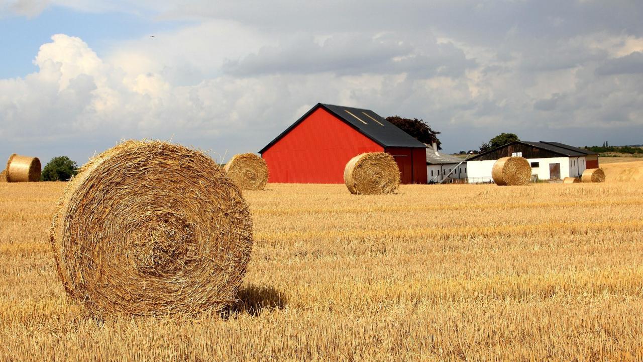 Den nya jordbrukspolitiken ska gälla fram till 2027. Arkivbild.