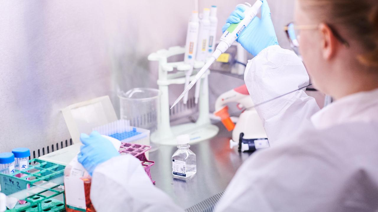 Bland annat cancerframkallande ämnen väntas ingå i utfasningen. Arkivbild.