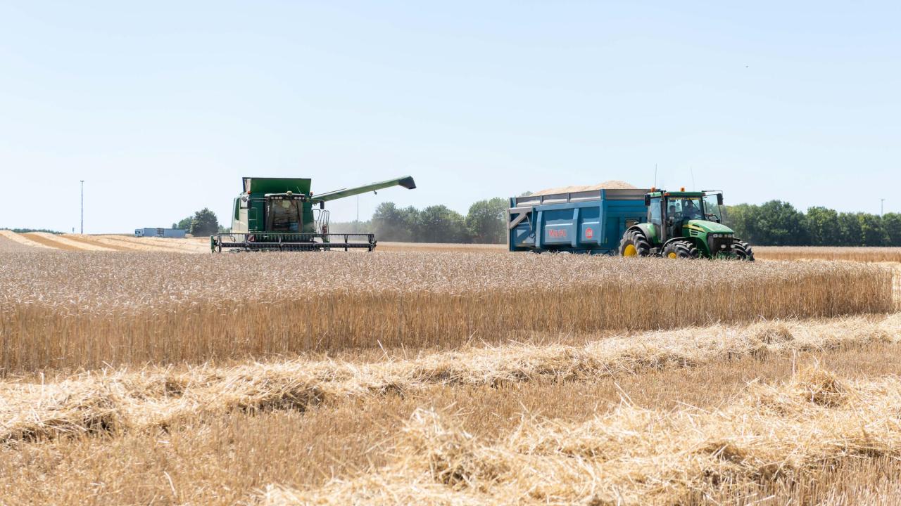 Först 2023 väntas den nya jordbrukspolitiken träda i kraft – två år för sent. Arkivbild.