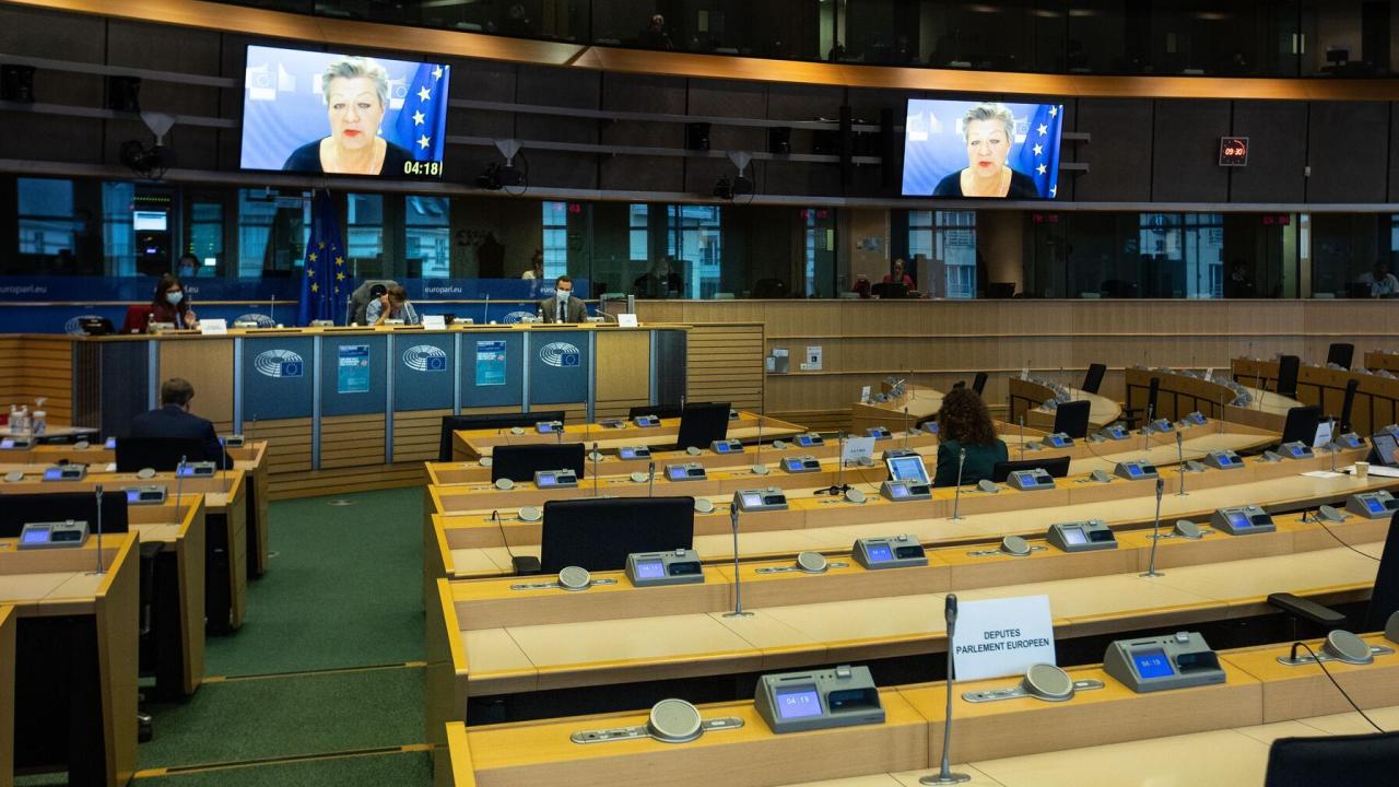 En stor del av EU-parlamentets verksamhet har under coronapandemin skett på distans via videolänk. Arkivbild.