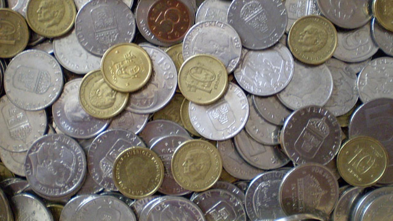 Den svenska kronan måste få ett grundlagsskydd, menar euromotståndare.