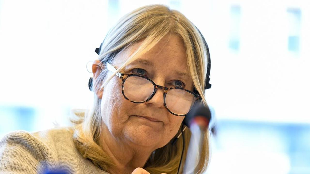 EU-parlamentariker Marita Ulvskog (S) var en av ledamöterna som röstade för förslaget.  