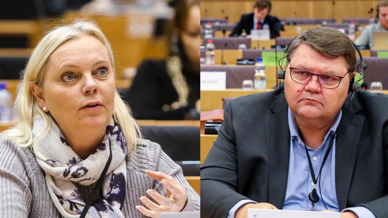 Sverigedemokraternas ledamöter, Kristina Winberg och Peter Lundgren, är enligt sju parametrar som Europaportalen granskat de minst aktiva i EU-parlamentet.