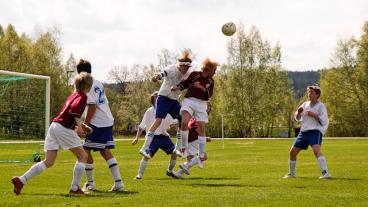 Ideella sportföreningar - en hotad verksamhet i Sverige?