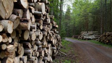 Foto: SLA-arbetsgivarna