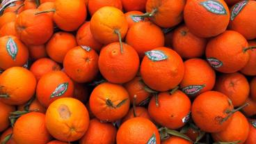 Att producera livsmedel av yppersta kvalitet ger EU bättre konkurrenskraft, skriver Kew Nordqvist (MP). Arkivbild.