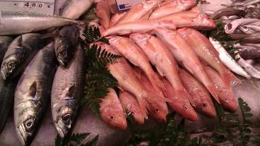 Det råder delade meningar om fiskebåtar från EU-länder ska fortsätta fiska i främmande vatten.