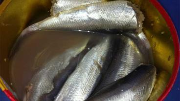 Surströmming. Hälsorisker ställs mot jobbtillfällen och mattraditioner när Sverige säger ja EU-undantag för giftig  fisk.