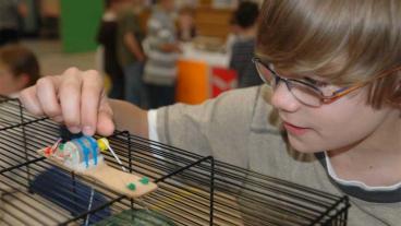 I dag är det dyrt att ha patent i flera EU-länder.