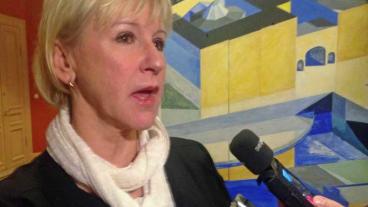 Utrikesminister Margot Wallström (S) menar sig ha rätten att informera andra utrikesministrar om svenska regeringens vilja att erkänna Palestina. EU-nämnden vill dock att frågan först ska upp i utrikesnämnden.
